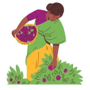 Indian organic agricultural products delivered globally by BharatAgroGlobal