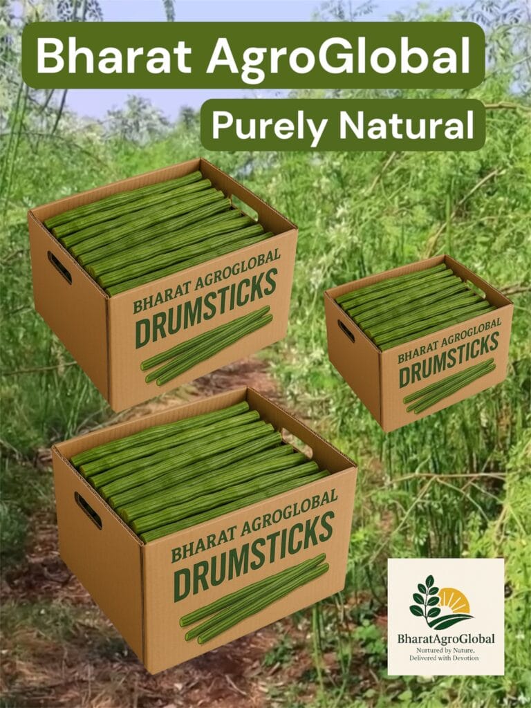Drumpstick export from India